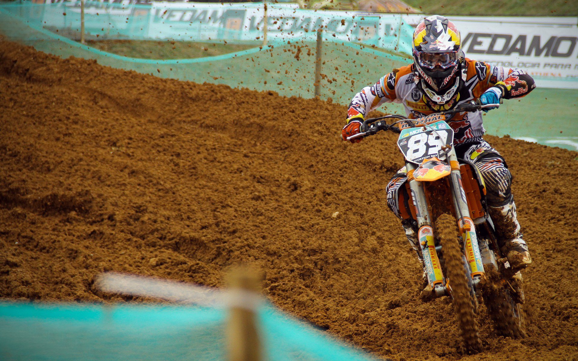 14位世界冠军棋聚宝安!2024第四届“湾区杯”中国围棋大棋士赛预选赛正式开赛